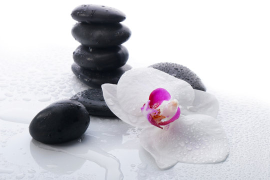 White Orchid and spa stones on a white background © bluebat