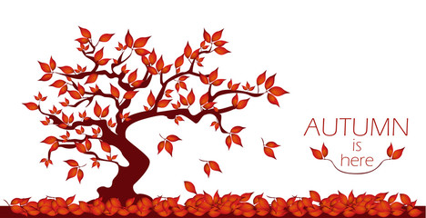 Red autumn tree with words AUTUMN IS HERE. Breech tree with falling leaves.