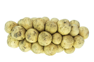 Wollongong fruit isolated on white background