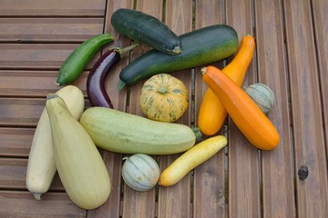 Des cucurbitacees sur des lames de plancher en bois