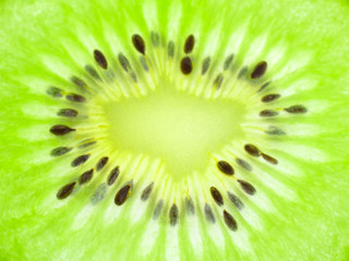 close up of a kiwi fruit