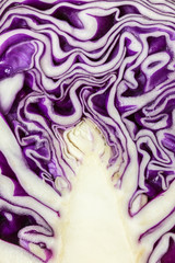 Obraz premium Texture of purple cabbage can use for background