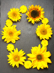 Autumn flowers and sunflowers. Colorful floral background, top view