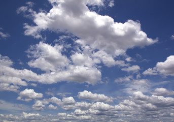 Fototapeta premium blue sky