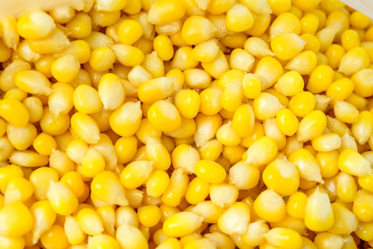yellow grains of corn.