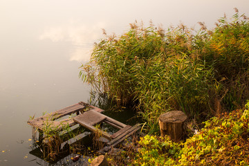 Dais and water cane © ra66