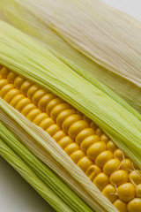 Close-up of a corn cob with leaves