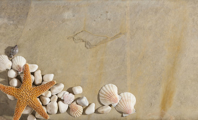Fototapeta na wymiar Background with sea shells and sea star