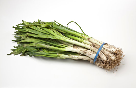 Calcots, a typical vegetable from the Catalonia region in Spain.