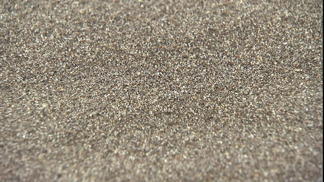 Sand grains texture