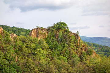 Fototapeta na wymiar Rocks in the forest