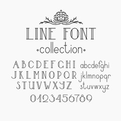 Vector mono line decorative font and numerals.