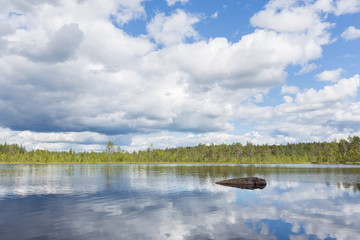 National park landscape