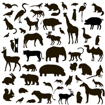 Vector Set of Black Animals and Birds Silhouettes