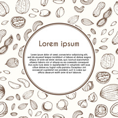 Nuts vector concept. Healthy diet style.