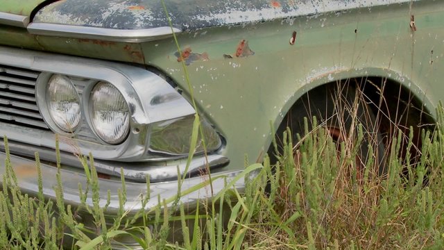 An old Ford Edsel sits in a field.