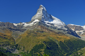 summer landscape in the Swiss Alps