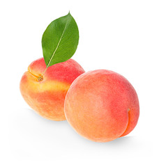 Apricots isolated on a white background.