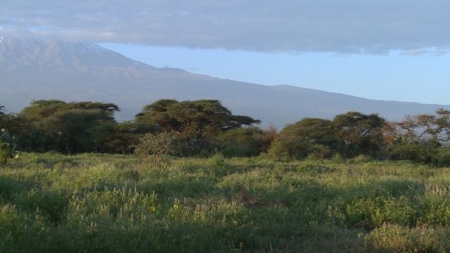 A beautiful panning morning shot of Mt. Kilimanjaro in Tanzania, East Africa.