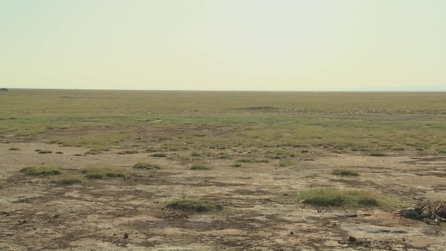 Pan across parched desert to the skeleton of a dead animal lies in the desert as an example of life and death in East Africa.
