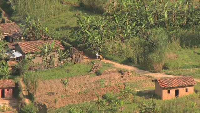 Zoom out from villagers and farmers to reveal the steep and luxurious terrace farms of Rwanda.
