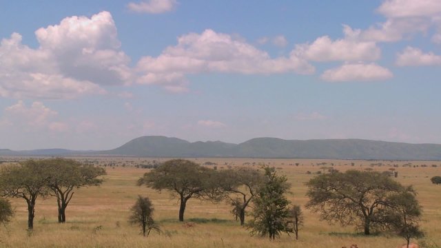 Time lapse shot of clouds moving over the Serengeti plain.
