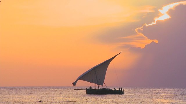 A beautiful shot of a dhow sailboat sailing along the coast of Zanzibar against a beautiful sunset.
