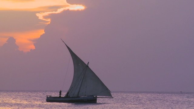 A beautiful shot of a dhow sailboat sailing along the coast of Zanzibar at sunset.