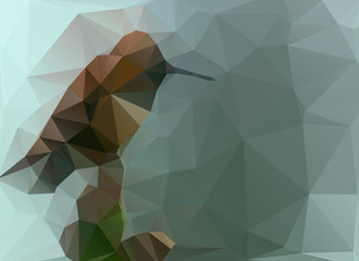 low poly background bird