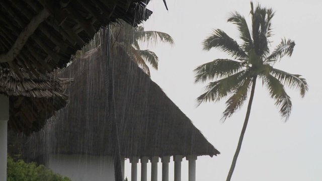 Rain falls heavily at a tropical beach resort with palms in background.