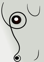 Cara de perro bonito