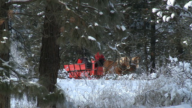 MCU sleigh past trees, ZM out to WS