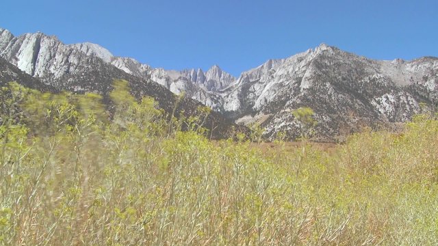Brush blows in front of Mt. Whitney in the Sierra Nevada mountains in california.
