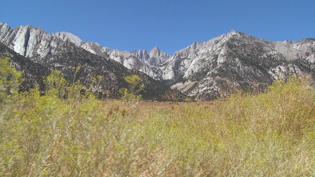 Brush blows in front of Mt. Whitney in the Sierra Nevada mountains in california.