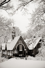 Central Park winter