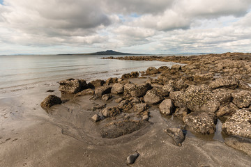 volcanic rocks on Takapuna beach in New Zealand