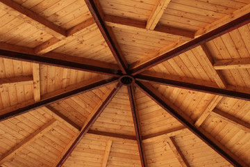 Roof ridge and rafters