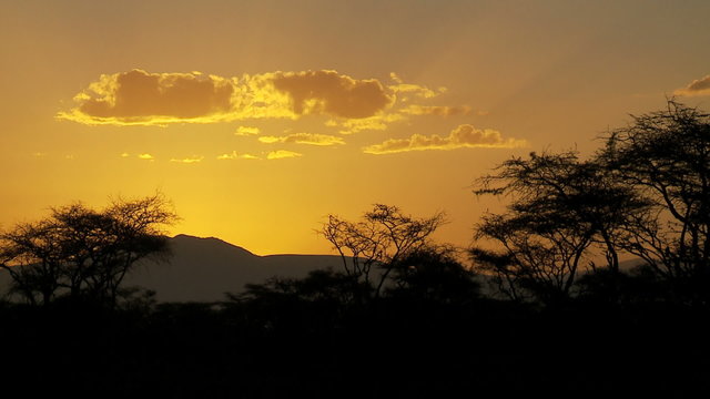 Southern Serengeti presunrise thru acacia