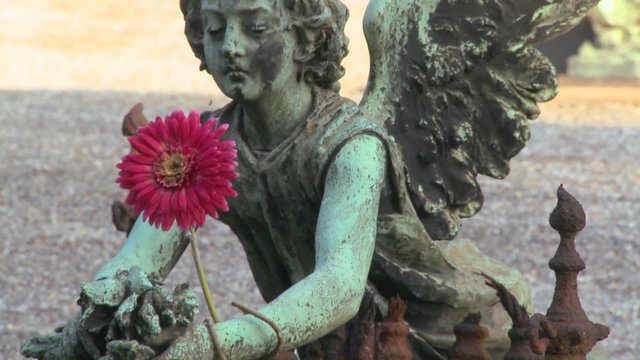 An angel sculpture in a cemetery on a grave.