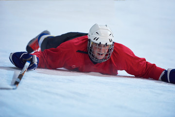 ice hockey player in action
