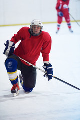 ice hockey player in action