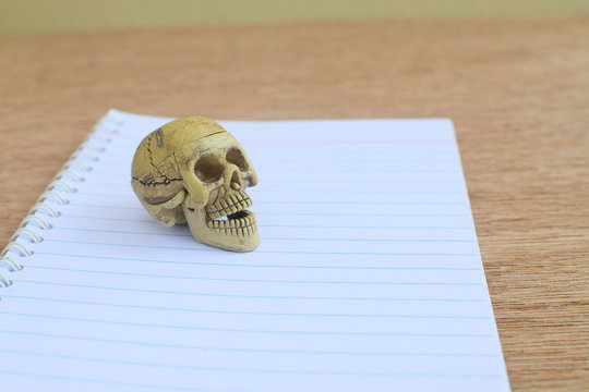 Skull on white paper notebook