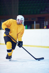 ice hockey player in action