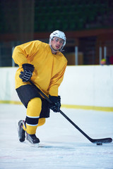 Fototapeta premium ice hockey player in action