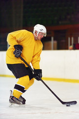 Obraz premium ice hockey player in action