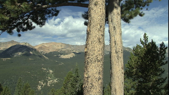 Barren Rocky mtn peaks