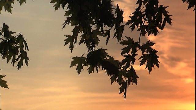 Ohio River sunrise