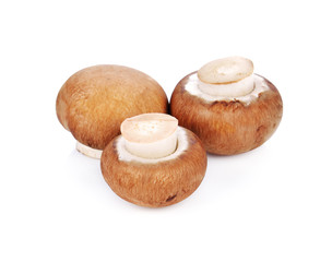 champignon mushrooms isolated on white