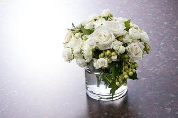 白薔薇