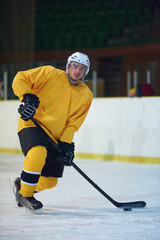 Obraz premium ice hockey player in action